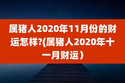 属猪人2020年11月份的财运怎样?(属猪人2020年十一月财运)