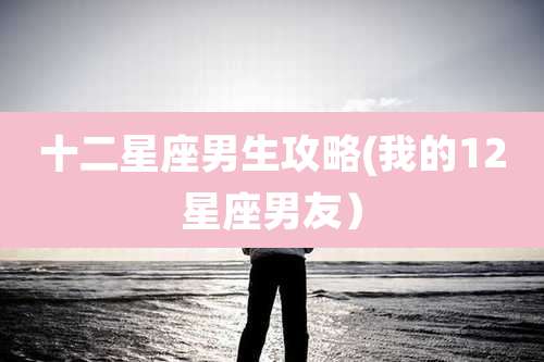 十二星座男生攻略(我的12星座男友）