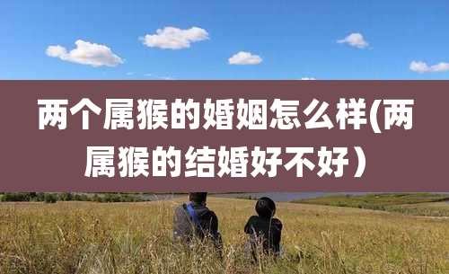 两个属猴的婚姻怎么样(两属猴的结婚好不好)