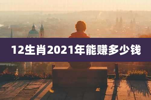 12生肖2021年能赚多少钱