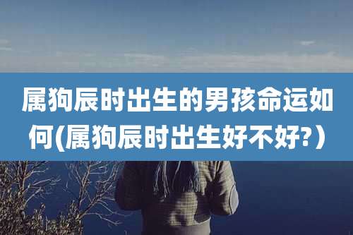 属狗辰时出生的男孩命运如何(属狗辰时出生好不好?)