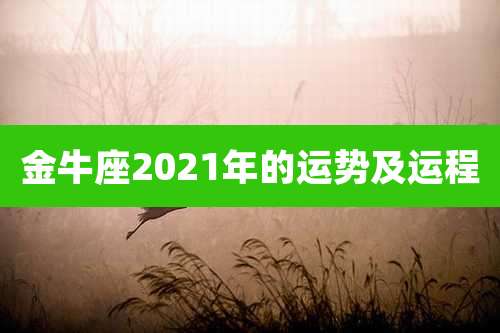 金牛座2021年的运势及运程