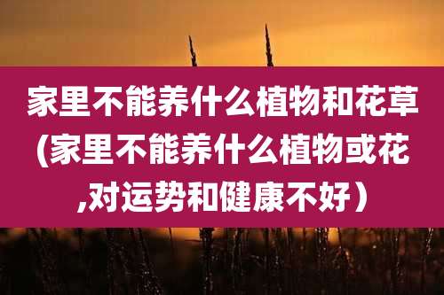 家里不能养什么植物和花草(家里不能养什么植物或花,对运势和健康不好)