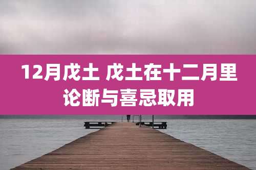 12月戊土 戊土在十二月里论断与喜忌取用