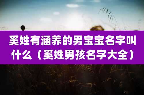 奚姓有涵养的男宝宝名字叫什么（奚姓男孩名字大全）