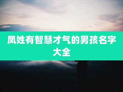 凤姓有智慧才气的男孩名字大全