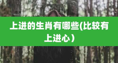 上进的生肖有哪些(比较有上进心）