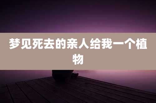 梦见死去的亲人给我一个植物