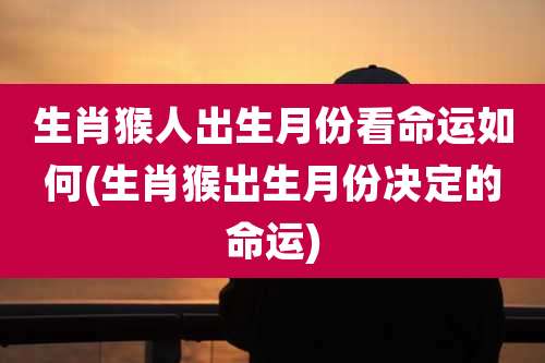 生肖猴人出生月份看命运如何(生肖猴出生月份决定的命运)