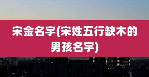 宋金名字(宋姓五行缺木的男孩名字)