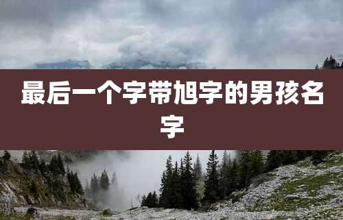 最后一个字带旭字的男孩名字