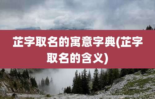 芷字取名的寓意字典(芷字取名的含义)
