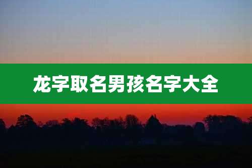 龙字取名男孩名字大全