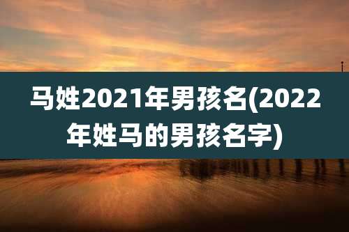 马姓2021年男孩名(2022年姓马的男孩名字)