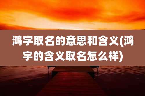 鸿字取名的意思和含义(鸿字的含义取名怎么样)