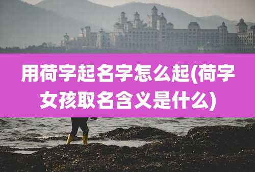 用荷字起名字怎么起(荷字女孩取名含义是什么)