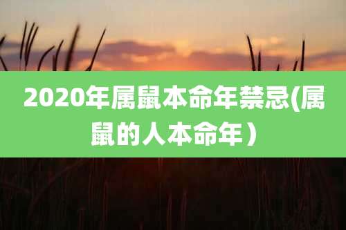 2020年属鼠本命年禁忌(属鼠的人本命年）