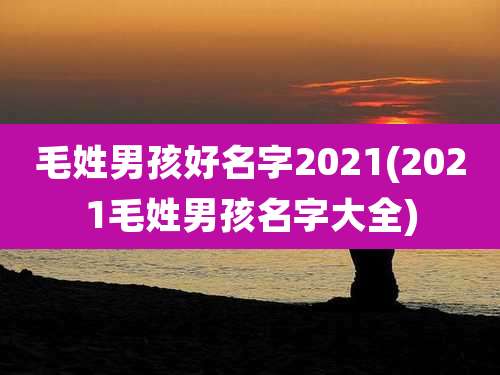 毛姓男孩好名字2021(2021毛姓男孩名字大全)