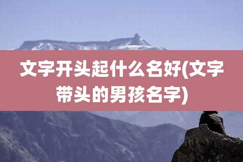 文字开头起什么名好(文字带头的男孩名字)