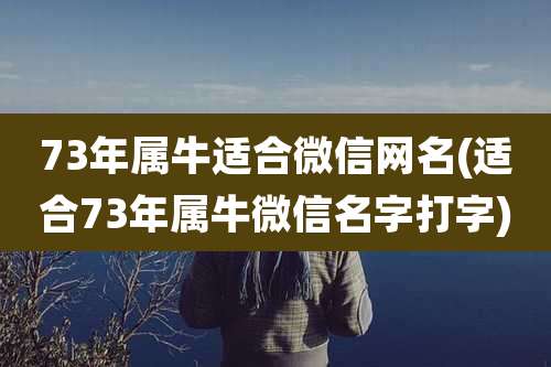 73年属牛适合微信网名(适合73年属牛微信名字打字)