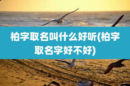 柏字取名叫什么好听(柏字取名字好不好)