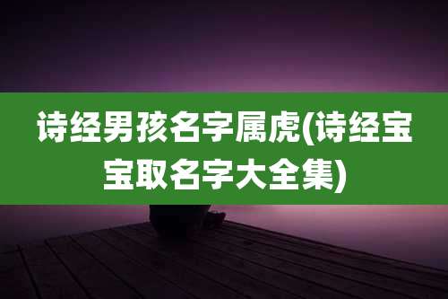 诗经男孩名字属虎(诗经宝宝取名字大全集)