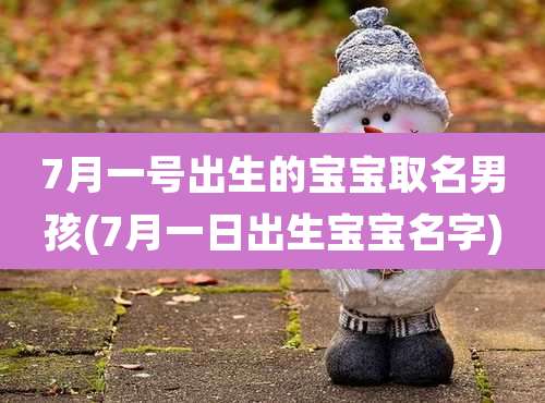 7月一号出生的宝宝取名男孩(7月一日出生宝宝名字)