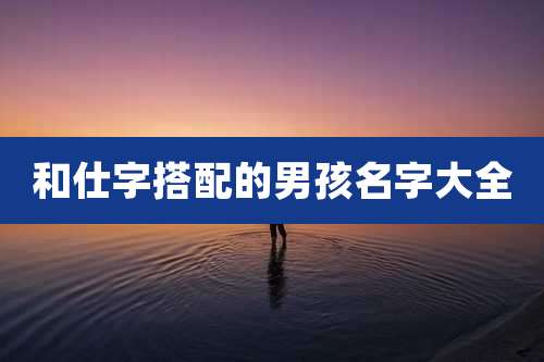 和仕字搭配的男孩名字大全