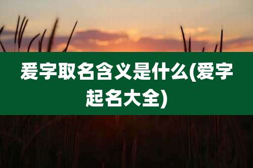 爰字取名含义是什么(爱字起名大全)