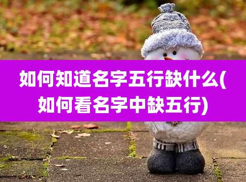 如何知道名字五行缺什么(如何看名字中缺五行)