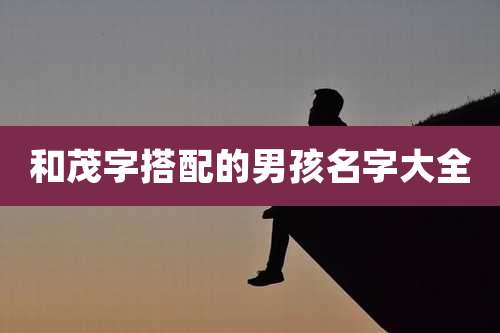 和茂字搭配的男孩名字大全