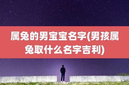 属兔的男宝宝名字(男孩属兔取什么名字吉利)