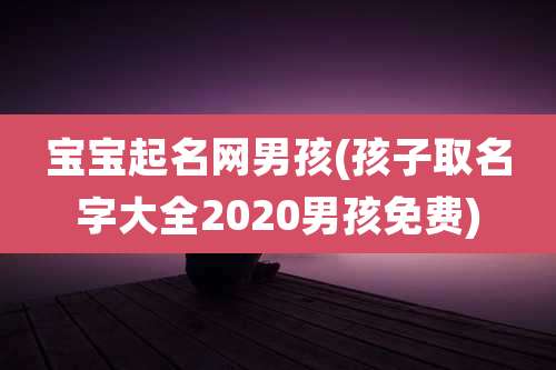 宝宝起名网男孩(孩子取名字大全2020男孩免费)