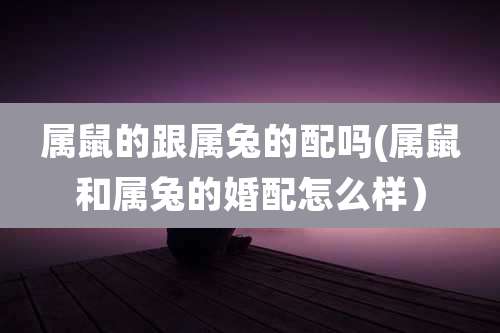 属鼠的跟属兔的配吗(属鼠和属兔的婚配怎么样)