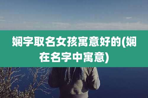 娴字取名女孩寓意好的(娴在名字中寓意)