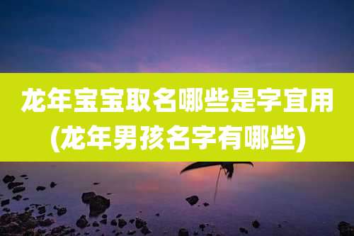 龙年宝宝取名哪些是字宜用(龙年男孩名字有哪些)