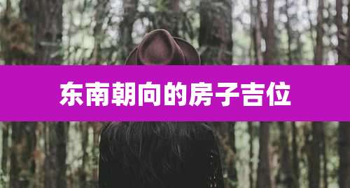 东南朝向的房子吉位