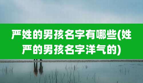 严姓的男孩名字有哪些(姓严的男孩名字洋气的)