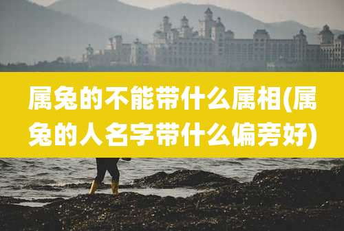 属兔的不能带什么属相(属兔的人名字带什么偏旁好)