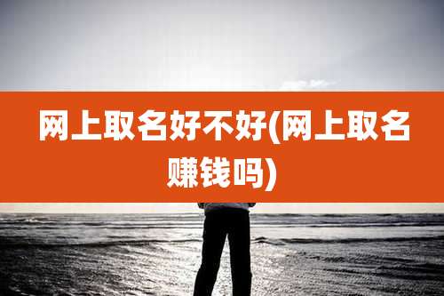 网上取名好不好(网上取名赚钱吗)
