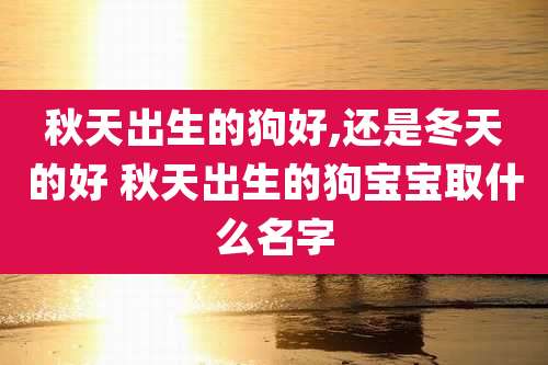 秋天出生的狗好,还是冬天的好 秋天出生的狗宝宝取什么名字