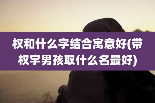 权和什么字结合寓意好(带权字男孩取什么名最好)