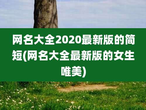 网名大全2020最新版的简短(网名大全最新版的女生唯美)