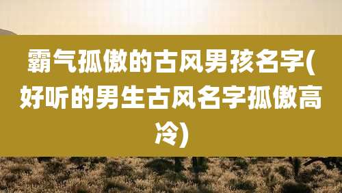 霸气孤傲的古风男孩名字(好听的男生古风名字孤傲高冷)