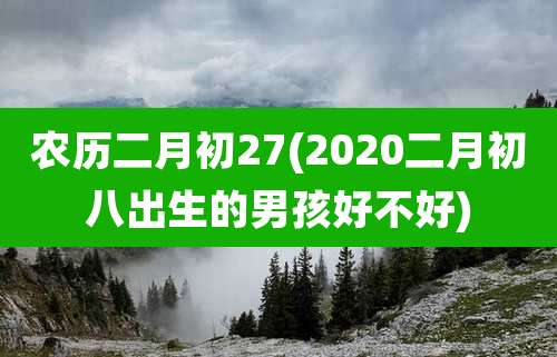 农历二月初27(2020二月初八出生的男孩好不好)