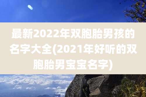 最新2022年双胞胎男孩的名字大全(2021年好听的双胞胎男宝宝名字)
