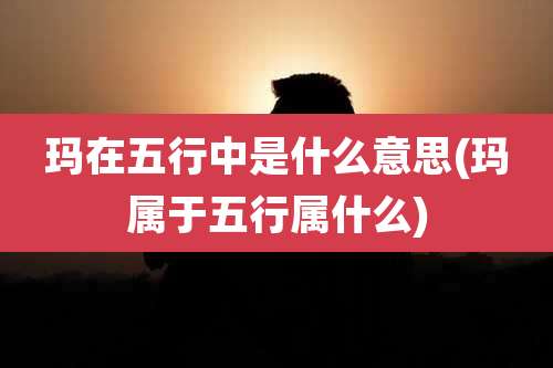 玛在五行中是什么意思(玛属于五行属什么)