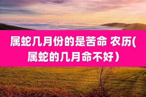 属蛇几月份的是苦命 农历(属蛇的几月命不好)