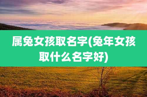 属兔女孩取名字(兔年女孩取什么名字好)