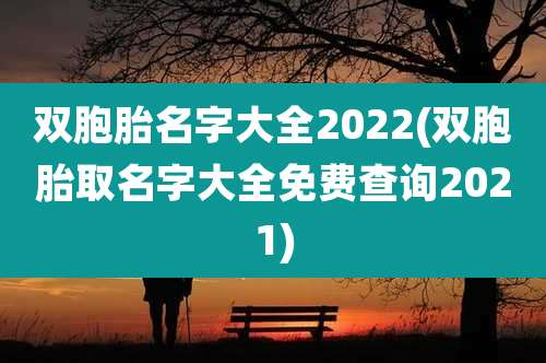 双胞胎名字大全2022(双胞胎取名字大全免费查询2021)